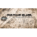 Alessandro Criscione - Fortune Silver Alessandro Criscione - Fortune Silver