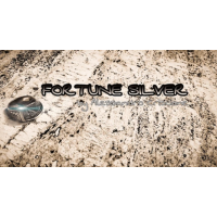Alessandro Criscione - Fortune Silver