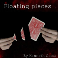 Kenneth Costa - Floating Pieces