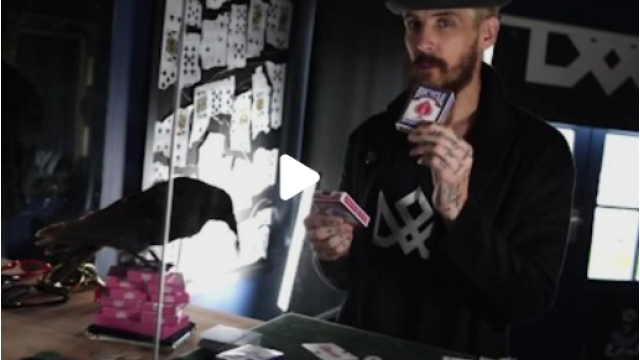 Daniel Madison - The BLOOD MARKING System MASTERCLASS (for BICYCLE CARDS) (Video+PDF) - Card Tricks