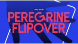 Peregrine Flipover by Avi Yap