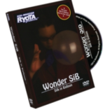 Wonder Silk in Balloon by RYOTA