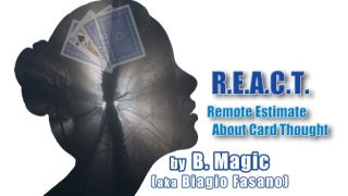 R.E.A.C.T. by B. Magic (aka Biagio Fasano)