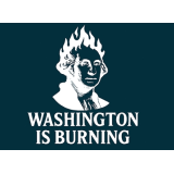 Washington is Burning by Ty Gallenbeck Washington is Burning by Ty Gallenbeck