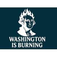 Washington is Burning by Ty Gallenbeck