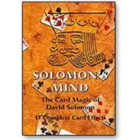 Solomon's Mind by David Solomon