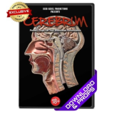 Cerebrum by Dead Rebel Cerebrum by Dead Rebel