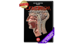 Cerebrum by Dead Rebel