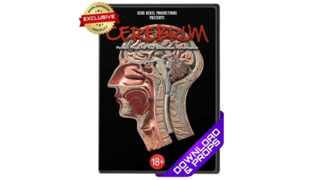 Cerebrum by Dead Rebel - Mentalism