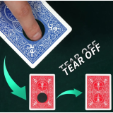 Color-changing black hole by WZ