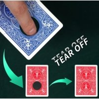 Color-changing black hole by WZ