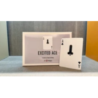 Chiam Yu Sheng – Excited Ace 