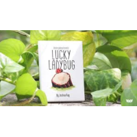 Joshua Ray & Deuce Gala Magic - Lucky Ladybug