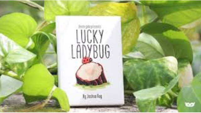 Joshua Ray & Deuce Gala Magic - Lucky Ladybug - Magic DVDs