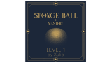 Sponge Ball Mastery Level 1 by Xulio Merino