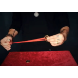 Chinese Palace Coin instructions download