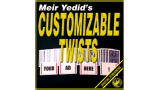 Meir Yedid - Customizable Twists