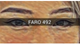 FARO 492 by TN and JJ Team (Instant Download)