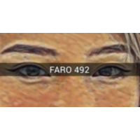 FARO 492 by TN and JJ Team (Instant Download)