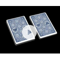 De Land - 100 Dollar Deck De Land - 100 Dollar Deck