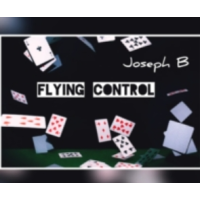 FLYING CONTROL by Joseph B (Instant Download)