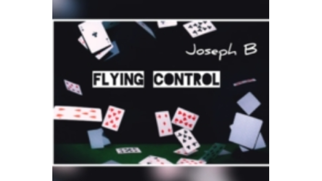 FLYING CONTROL by Joseph B (Instant Download) - Card Tricks