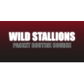 Craig Petty - Wild Stallions Craig Petty - Wild Stallions