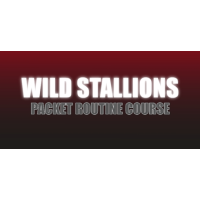 Craig Petty - Wild Stallions