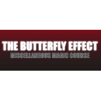 Justin Miller - The Butterfly Effect 