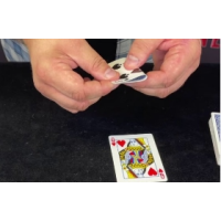 Craig Petty - Ultimate Two Card Transpo