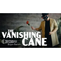 The Vanishing Cane by Bojan Barisic 