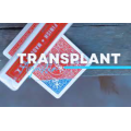 Agustin - Transplant Agustin - Transplant