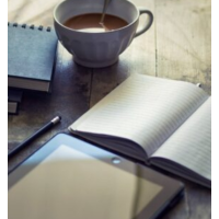Tom Stone - Writing Stylebook