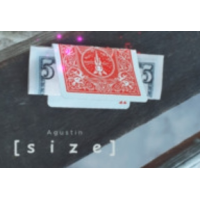 Size by Agustin (Instant Download)