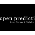 Open Predictions by Peter Turner Open Predictions by Peter Turner