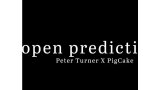 Open Predictions by Peter Turner