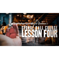 Wayne Goodman - Sponge Ball Course Lesson 4