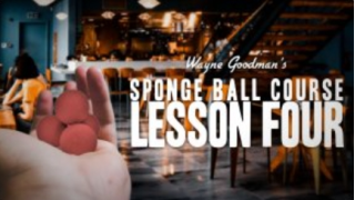 Wayne Goodman - Sponge Ball Course Lesson 4