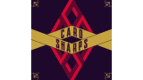 Card Sharps By Penguin Magic