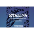 Berman Dabat and Michel - 52 Cheetah Berman Dabat and Michel - 52 Cheetah