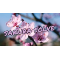 Cyril Hubert and JJ Team - SAKURA SOLVE Cyril Hubert and JJ Team - SAKURA SOLVE