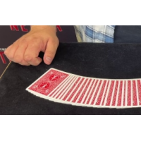 Craig Petty - Toxic Coincidence