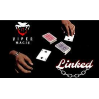 Viper Magic - Linked