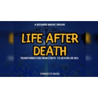 Life After Death by Dominicus Bagas