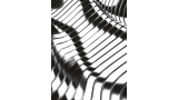 Modulo by Fraser Parker