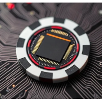 Micro-Chip Extraction by Levi Elsberg