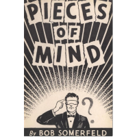 Bob Somerfeld - Pieces of Mind