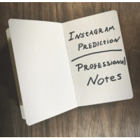 Instagram Prediction - Pro Notes by Joe Diamond