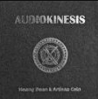Hoang Doan Minh & Artisan Coin - Audiokinesis