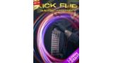 Biz - Kick Flip